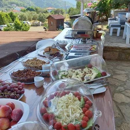Begonvillage *