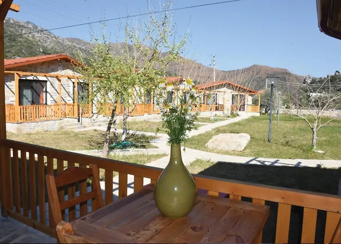 بيت للعطل Begonvillage