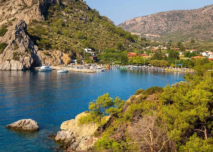 Begonvillage بيت للعطل داتْشا